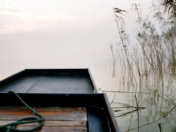 西山有“白鹭”