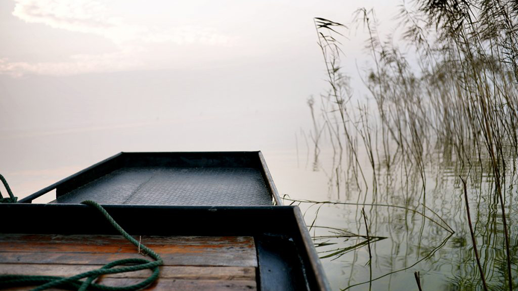 西山有“白鹭”