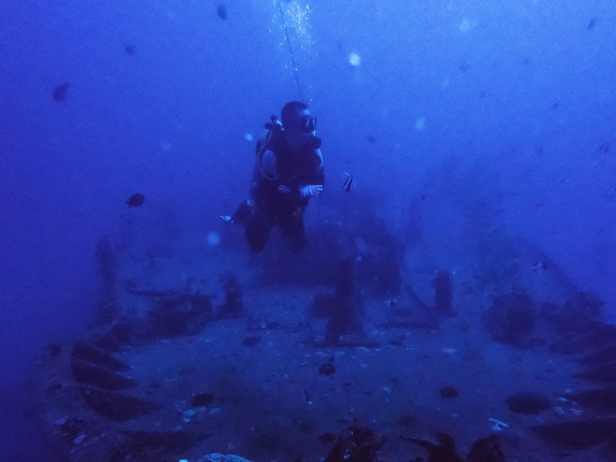 MY HEART WILL GO&nbsp;ON