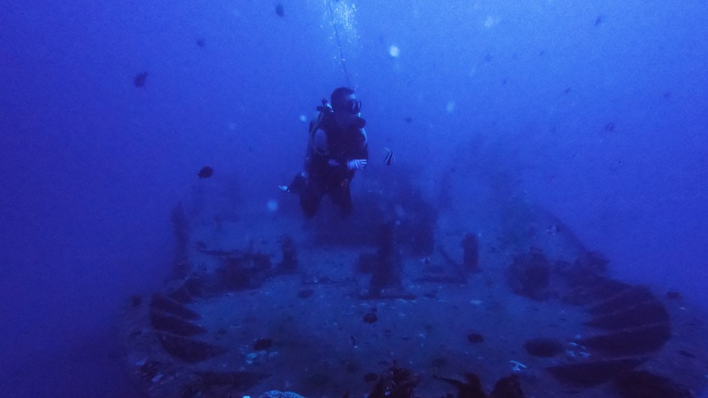 MY HEART WILL GO&nbsp;ON