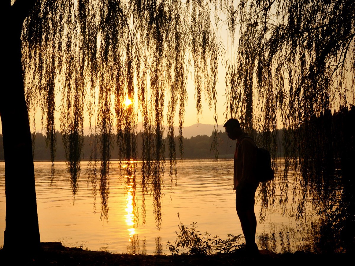 春韵江南，最忆是杭州