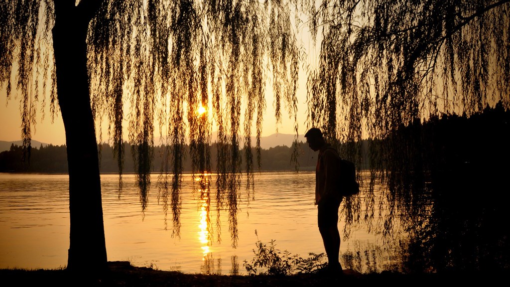 春韵江南,最忆是杭州