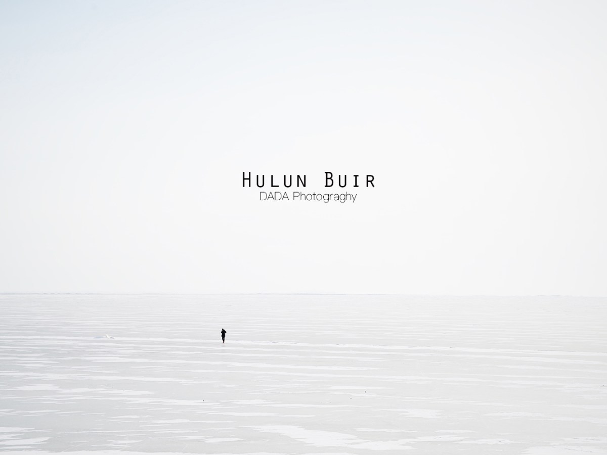 呼伦贝尔，唯有风吹的声音