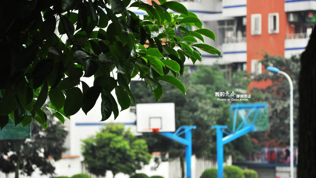 十年，我们呼啸而过的青春